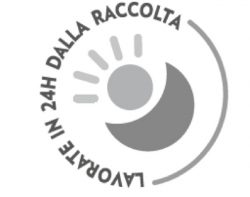 logo lavorato in 24 h Sama