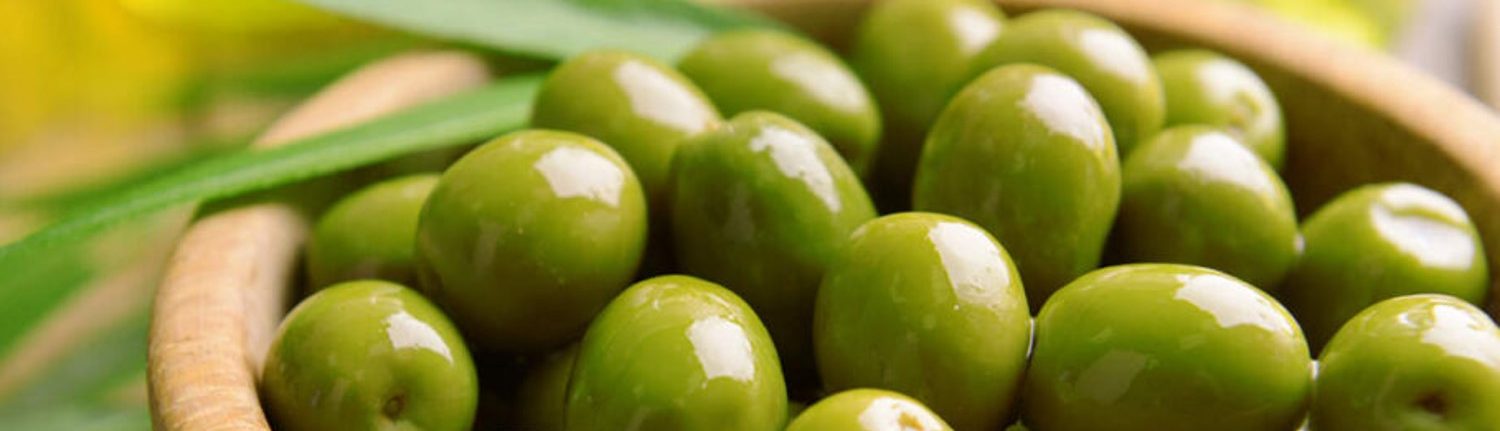 olive verdi sama