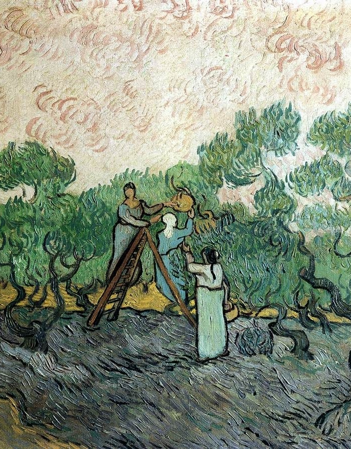 van-gogh-dipinto-raccolta-olive Dipinto la raccolta delle olive