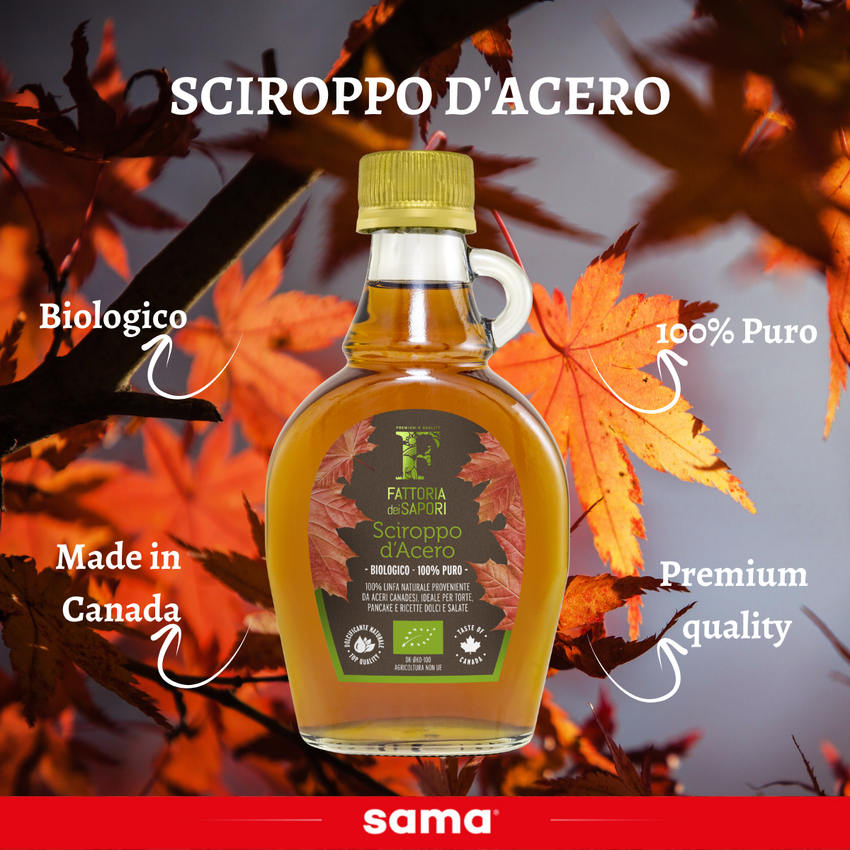 IL NUOVO SCIROPPO D'ACERO FATTORIA DEI SAPORI - Sama spa