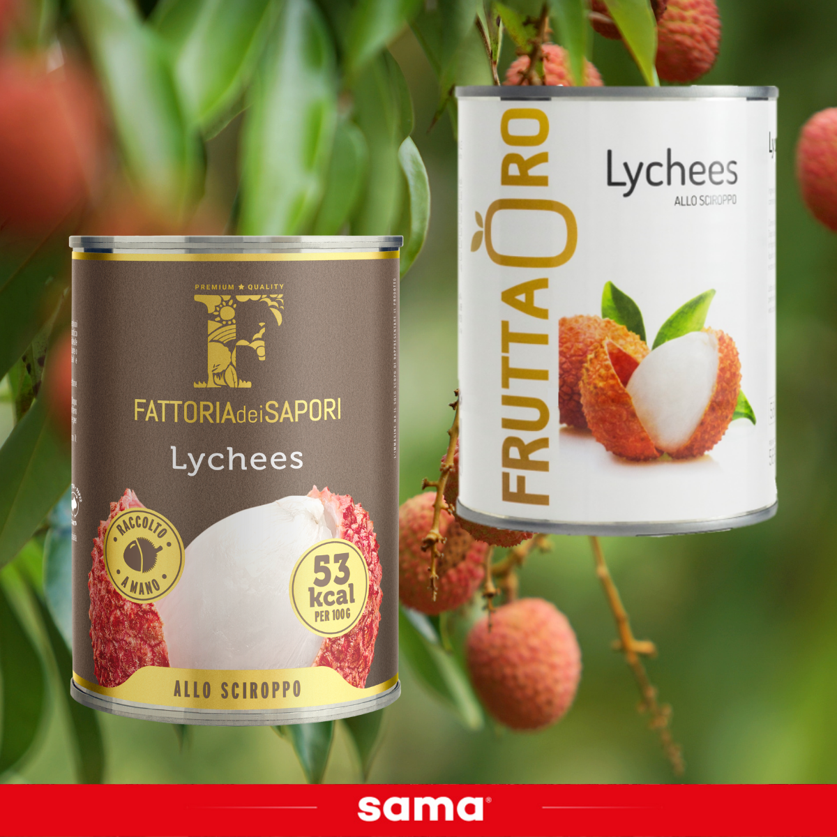 RACCOLTA LYCHEES