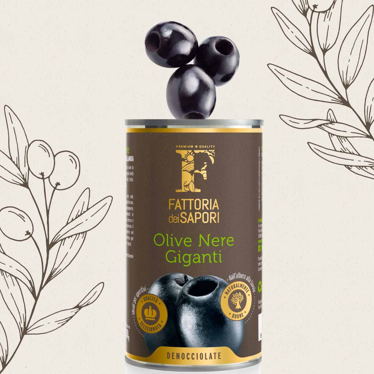 olive nere Fattoria dei Sapori